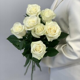 7 высоких крупных импортных роз