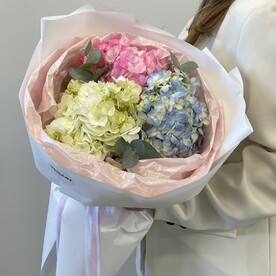 Микс из 3 гортензий