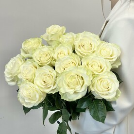 15 белых крупных высоких роз