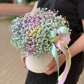 Коробка с радужной гипсофилой