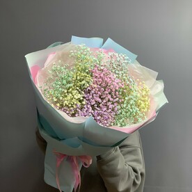 Радужная Гипсофила