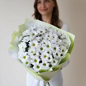 Хризантемы кустовые в лимонном оформлении (9 шт)