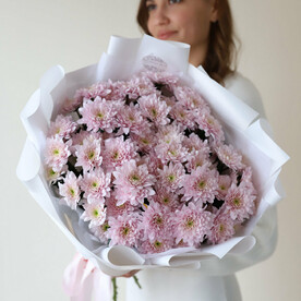 Хризантемы кустовые в белом оформлении (11 шт)