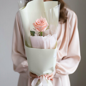 Розовая роза в нежном оформлении