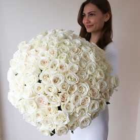 101 роза белая в ленту