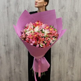 Букет из 25 альстромерий