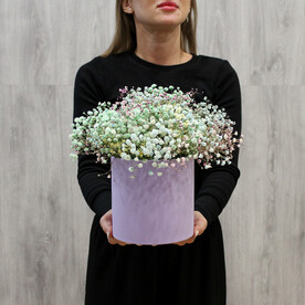 Шляпная коробка из цветной гипсофилы