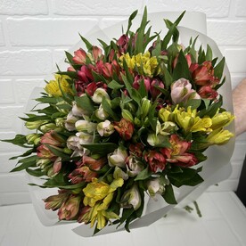 Букет из 25 альстромерий
