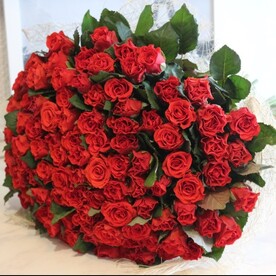 101 Кружевная роза