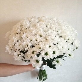 Пушистое облако