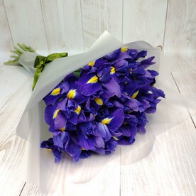 Букет из 19 ирисов