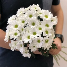 Букет из 5 кустовых хризантем