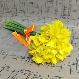 19 нарциссов под ленту