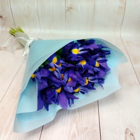 11 синих ирисов