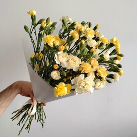 25 кустовых гвоздик