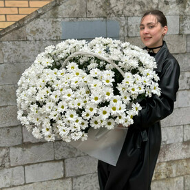 Корзина c ромашками