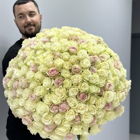 Букет из 201 розы