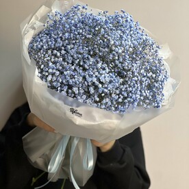 Букет из гипсофилы