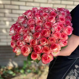 51 шт роза "Джумилия" 50см