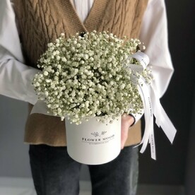 Коробка с гипсофилой