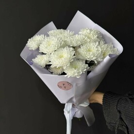 Белая кустовая хризантема FT329