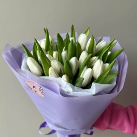 21 белый тюльпан FT1225