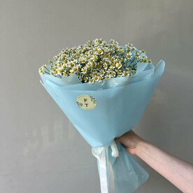 Букет из полевых ромашек в нежно - голубой упаковке FT1481