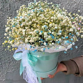 Коробочка с гипсофилой