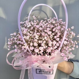 Сумочка с гипсофилой