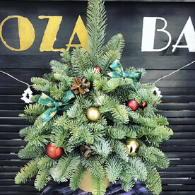 Елочка из нобилиса Дракон