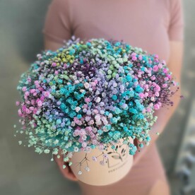 Коробочка с радужной гипсофилой