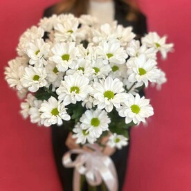 Ромашки для милашки