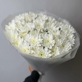 Букет кустовые хризантемы Пина Колада