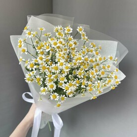 Букет из ромашек кустовых