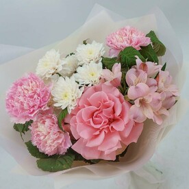 Твоя нежность