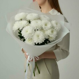 Моно белоснежных хризантем