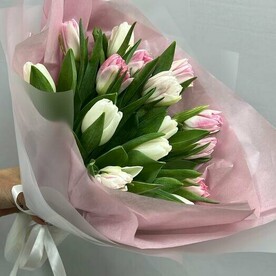 Нежно розовые тюльпаны