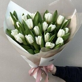 Белые тюльпаны