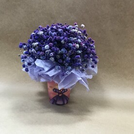 Композиция из стабилизированной гипсофилы