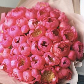 Букет пионов 51 «Коралловый бриз», красивый букет цветов, шикарный, премиум цветы, пион.