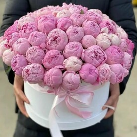 Букет пионов розовых 51 в шляпной коробке, красивый букет цветов пион, шикарный, премиум цветы, пионы белые.