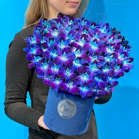 Цветы в коробке. Орхидеи Космос. Композиция 609