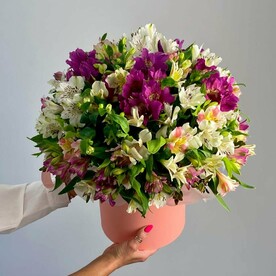 Композиция "Бэлль"