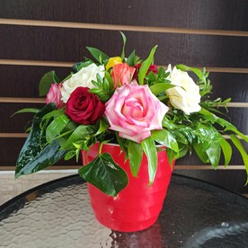 Композиция в кашпо Яркие краски