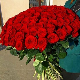 101 красная роза 70 см