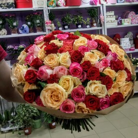 101 разноцветная роза