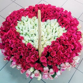 501 роза в корзине