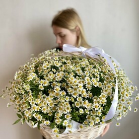 Корзина с полевыми цветами - Ромашковое поле