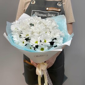 Хризантема