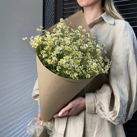 Букет ромашек